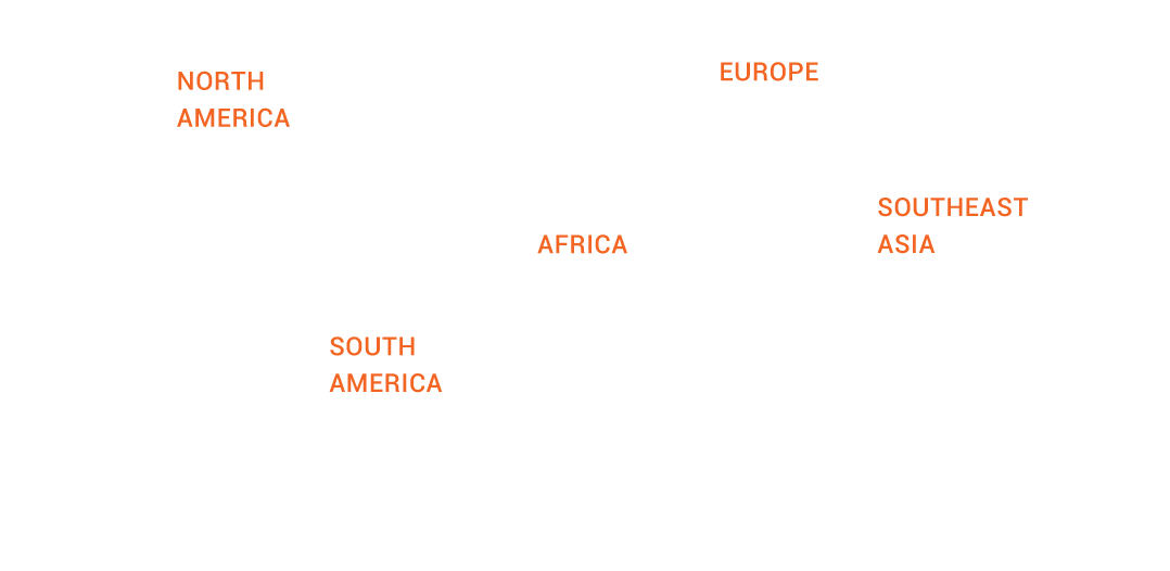 Precious timber sourced from five continents